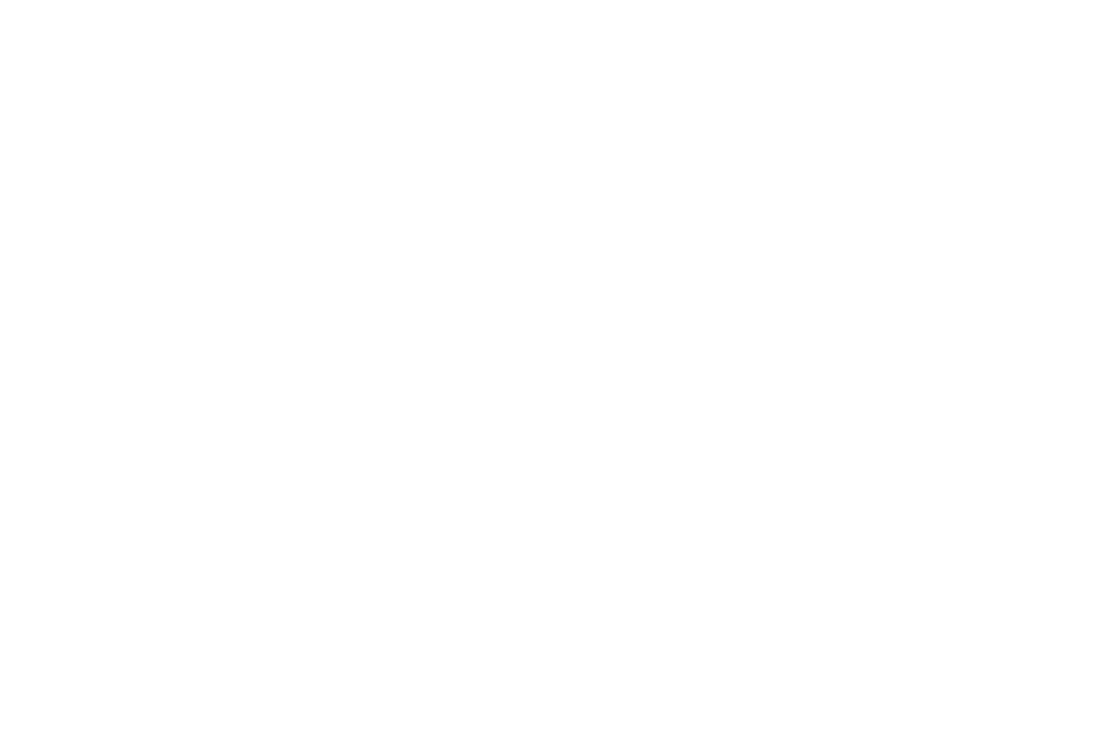 LOGO_SGI_WHITE
